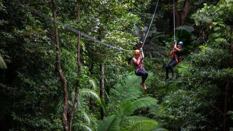 Cairns : 2 Days Daintree & Reef Experience - Overall Value and Who It’s For
