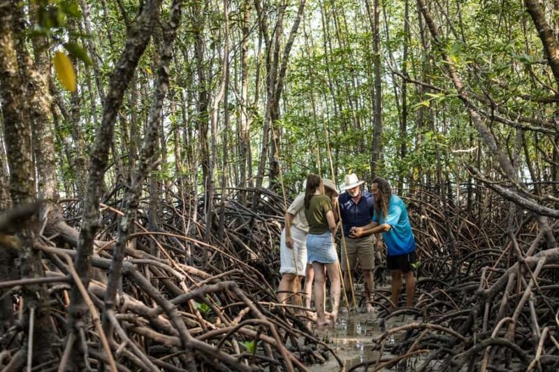 Cairns: Aboriginal Coastal Adventure & Mossman Gorge Tour - Real Traveler Insights