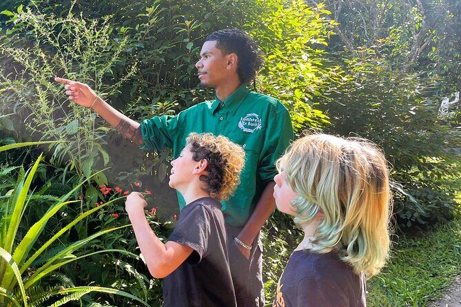 Cairns: Aboriginal Cultural Tour Atherton Tablelands - An In-Depth Look at the Experience