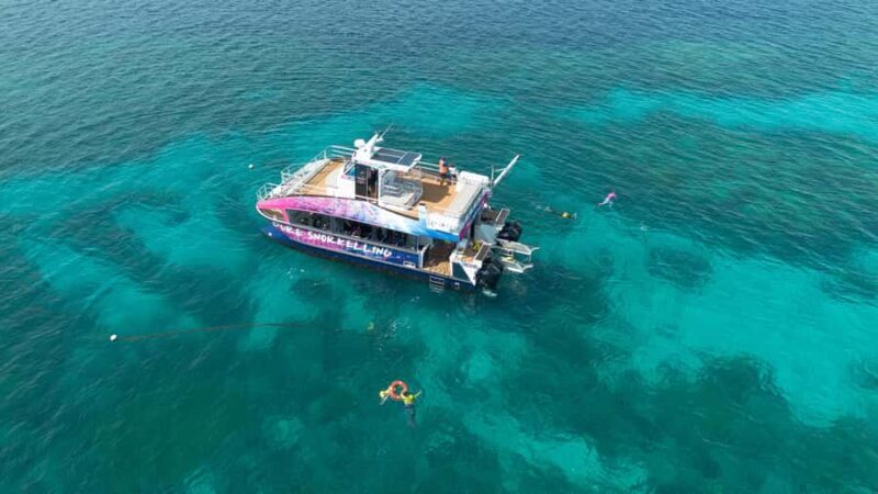 Cairns: All-Inclusive Great Barrier Reef Half-Day Snorkeling - Why the Guides Make a Difference