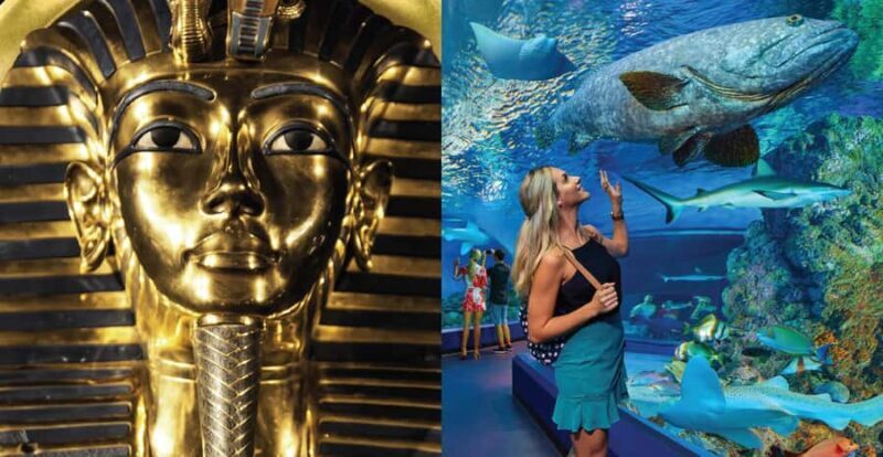 Cairns: Aquarium and Tomb of the Pharaohs Entry Ticket - Key Points