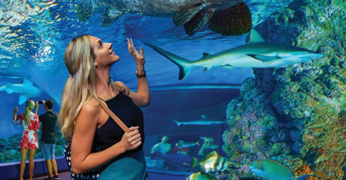Cairns Aquarium General Admission Ticket - Key Points