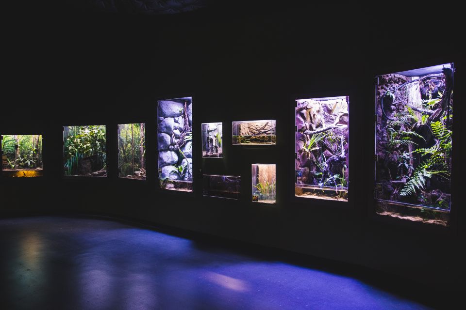 Cairns Aquarium General Admission Ticket - Experience Highlights