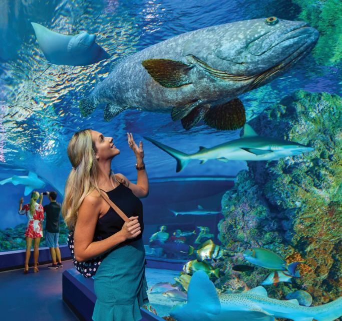 Cairns Aquarium General Admission Ticket - Inclusions