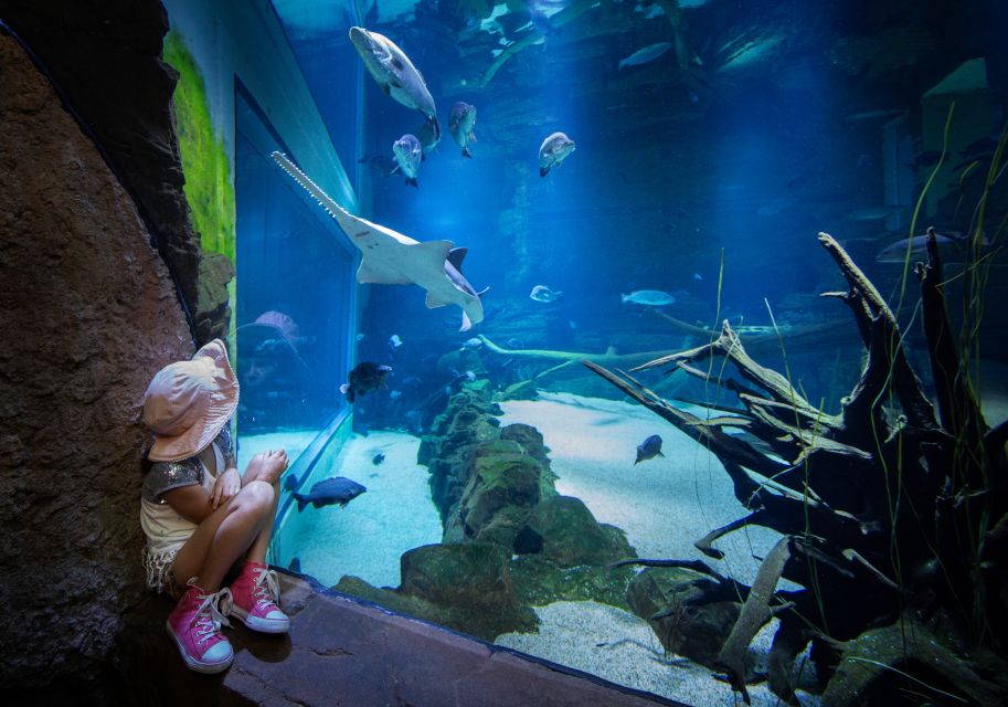 Cairns Aquarium General Admission Ticket - Directions