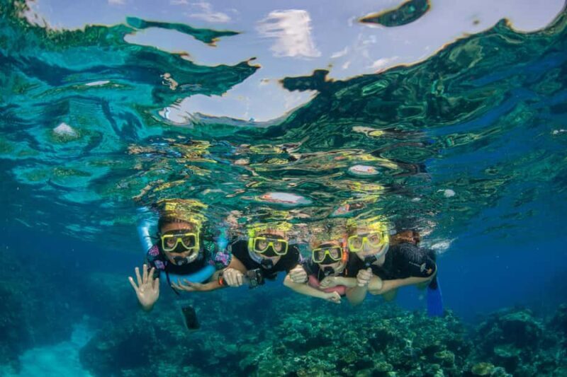 Cairns: Best Value All-inclusive Reef Trip With Scuba Dive - Key Points