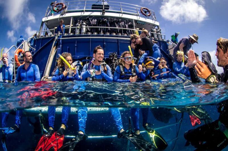 Cairns: Best Value All-inclusive Reef Trip With Scuba Dive - Introduction: Why This Reef Tour Stands Out