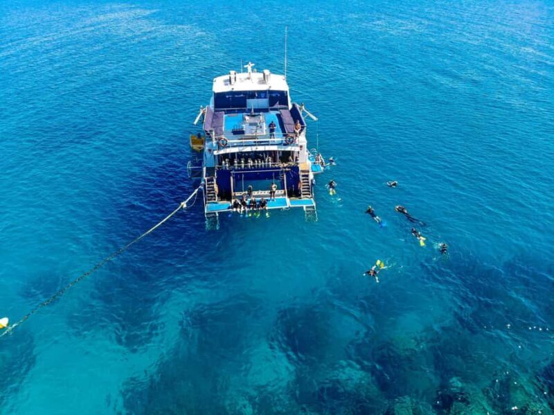 Cairns: Best Value All-inclusive Reef Trip With Scuba Dive - The Experience in Detail: What Makes It Special
