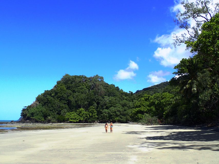 Cairns: Cape Tribulation, Beaches, Crocs & Swimming Day Tour - Safety Guidelines