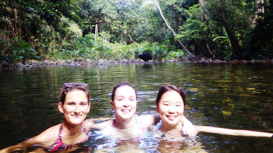 Cairns: Cape Tribulation, Beaches, Crocs & Swimming Day Tour - Recap