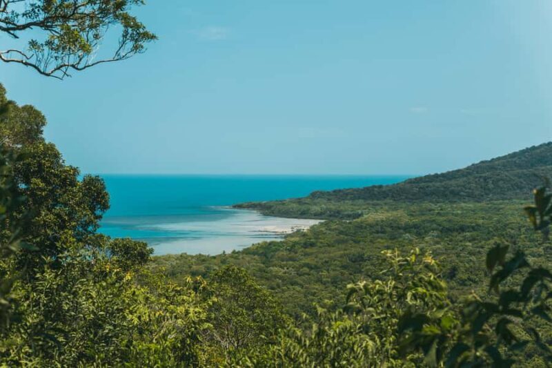 Cairns: Cape Tribulation & Daintree Rainforest Premium Tour - Final Thoughts