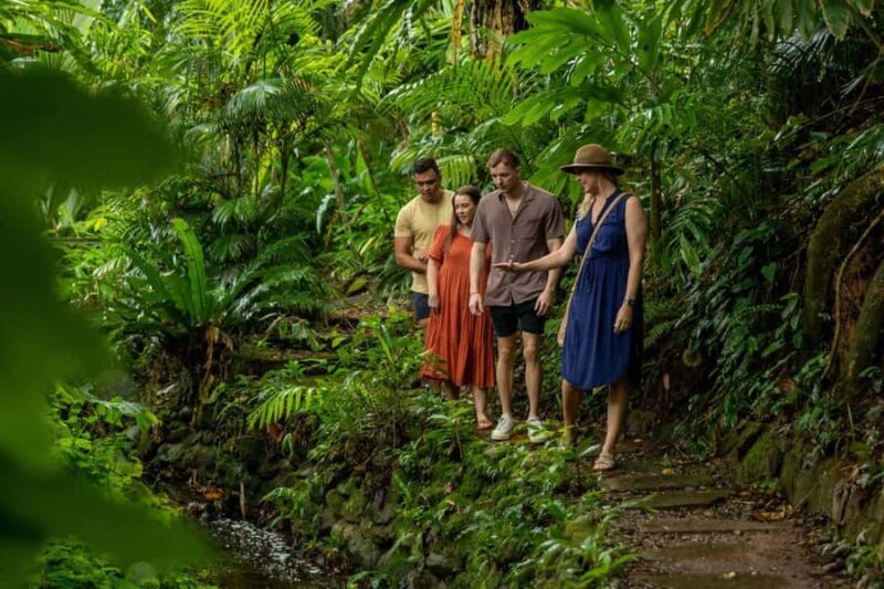 Cairns City: Cairns Koala & Creatures + City Sights Tour - Key Points