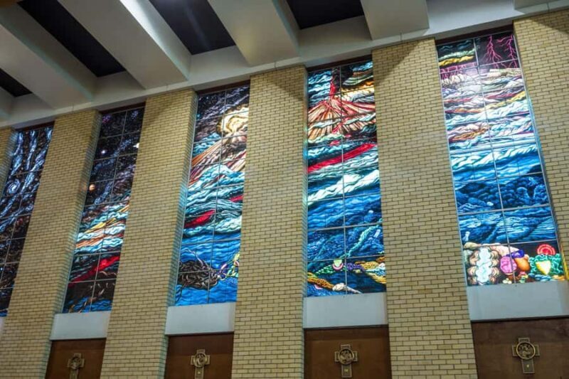 Cairns City: Cairns Koala & Creatures + City Sights Tour - FAQ