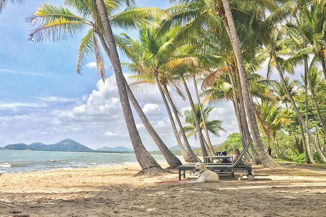 Cairns City Half Day Tour - The Itinerary Breakdown