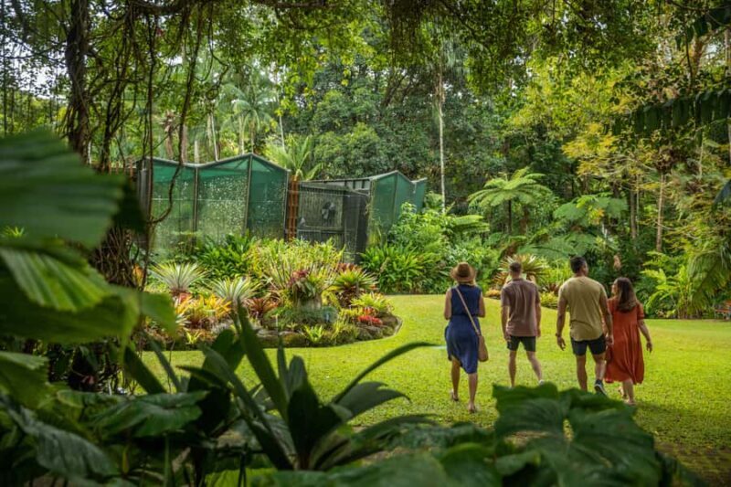 Cairns: City Sights Tour with Evening Dinner Cruise - Authentic Experiences and Guest Feedback