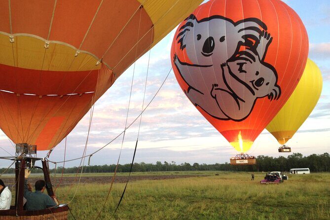 Cairns Classic Hot Air Balloon Ochre - Key Points