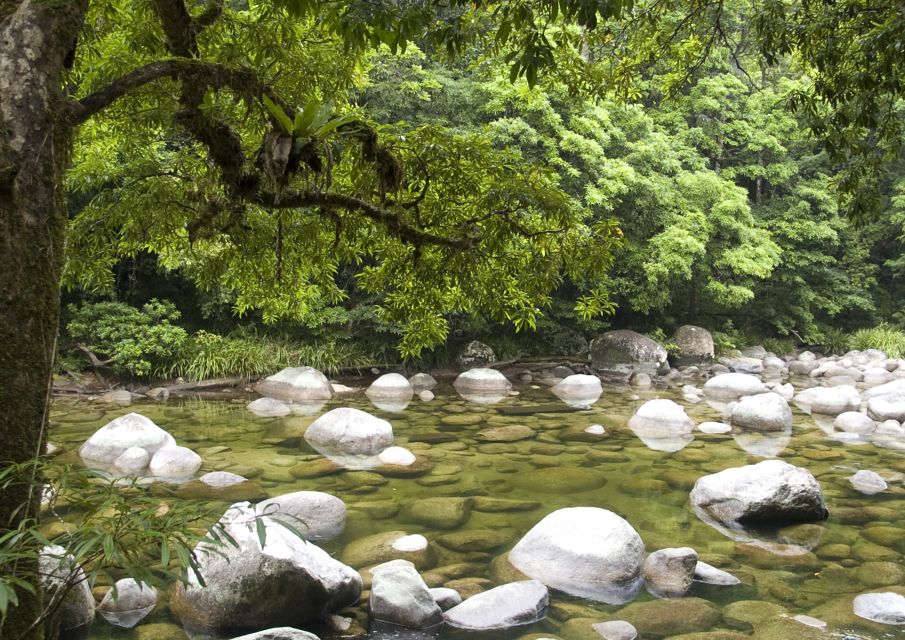 Cairns: Daintree, Mossman Gorge & Cape Tribulation Day Trip - Preparation and Requirements