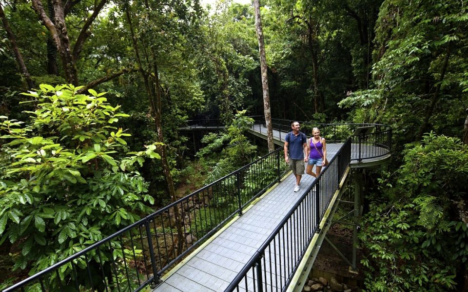 Cairns: Daintree, Mossman Gorge & Cape Tribulation Day Trip - Recap
