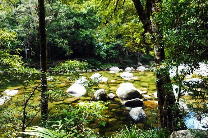 Cairns Daintree Rainforest and Cape Tribulation 2-Day Tour - Introduction