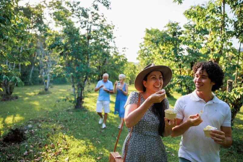 Cairns: Daintree Rainforest & Cape Tribulation Day Trip - Exploring the Itinerary and Why It Matters