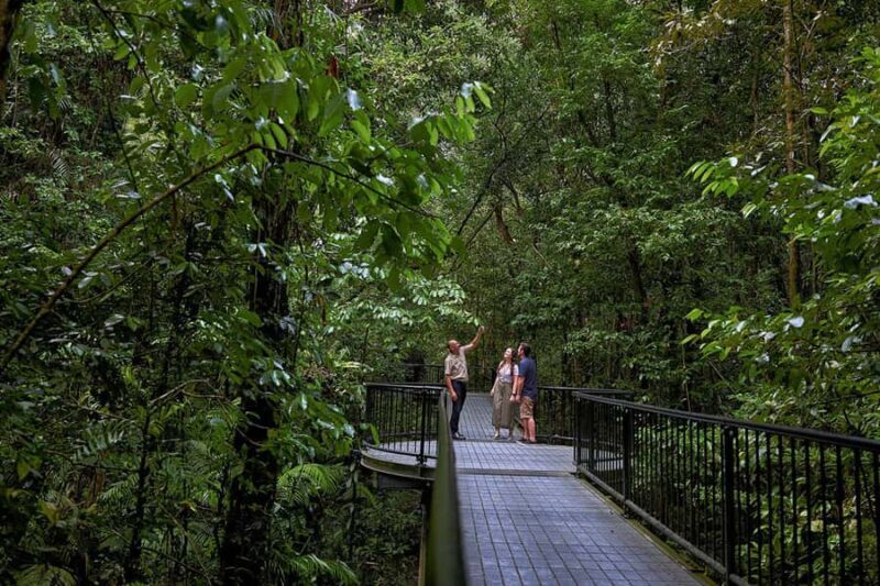 Cairns: Daintree Rainforest & Cape Tribulation Day Trip - FAQs