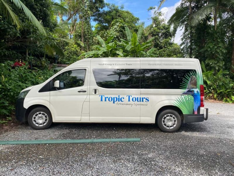 Cairns: Daintree River Cruise and Mossman Gorge - Key Points