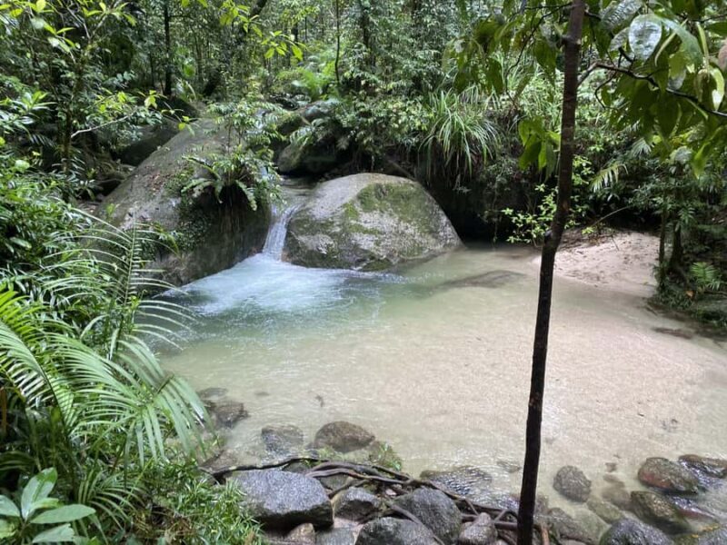 Cairns: Daintree River Cruise and Mossman Gorge - FAQs