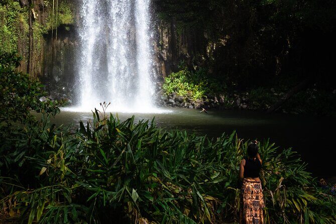 Cairns Day Tour Private Waterfall - What Makes This Tour Stand Out?