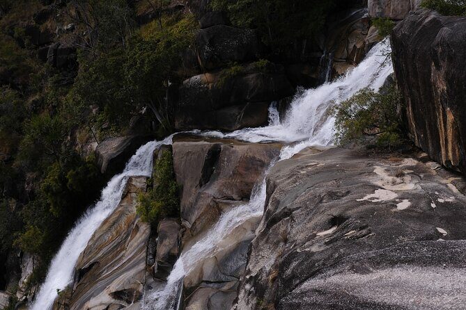 Cairns Day Tour Private Waterfall - FAQs