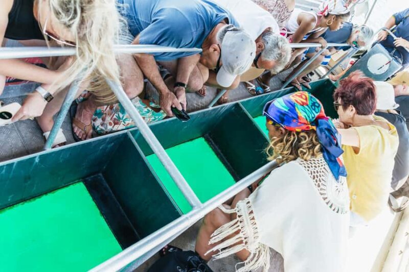 Cairns: Fitzroy Island Full-Day Trip with Optional Extras - Timing and Duration: Making the Most of Your Day