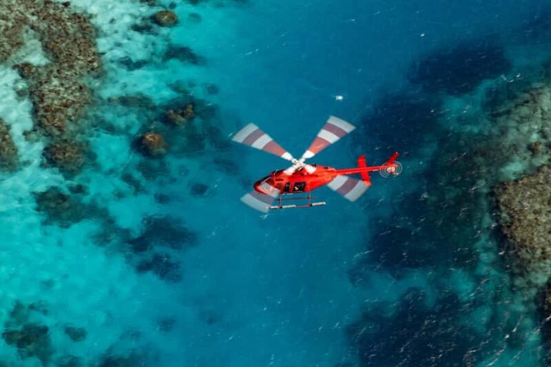Cairns: Great Barrier Reef 30-Minute Helicopter Flight - A Detailed Look at the Experience