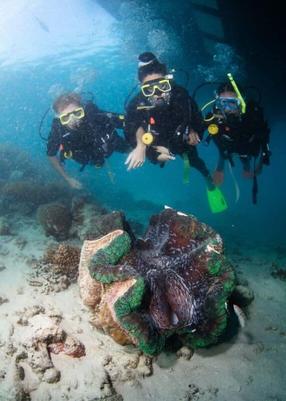 Cairns: Great Barrier Reef Cruise & 10 Minute Helicopter - The Practical Side: What You Need to Know