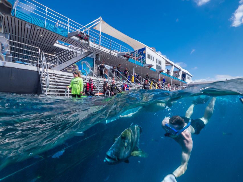 Cairns: Great Barrier Reef Cruise With Water Activities - Key Points