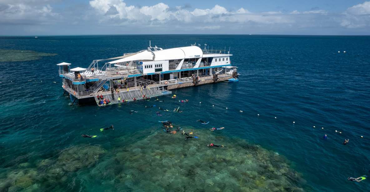 Cairns: Great Barrier Reef Cruise With Water Activities - Important Information