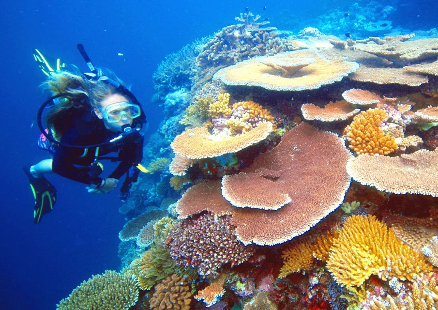 Cairns: Great Barrier Reef Cruise With Water Activities - Recap