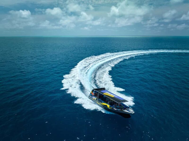 Cairns: Great Barrier Reef Half-Day Snorkelling Tour - Who Should Book This Tour?