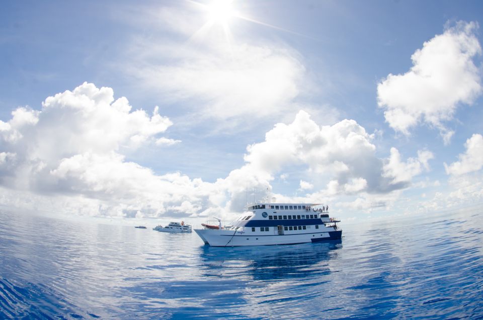 Cairns: Great Barrier Reef Overnight Snorkeling Boat Trip - Inclusions