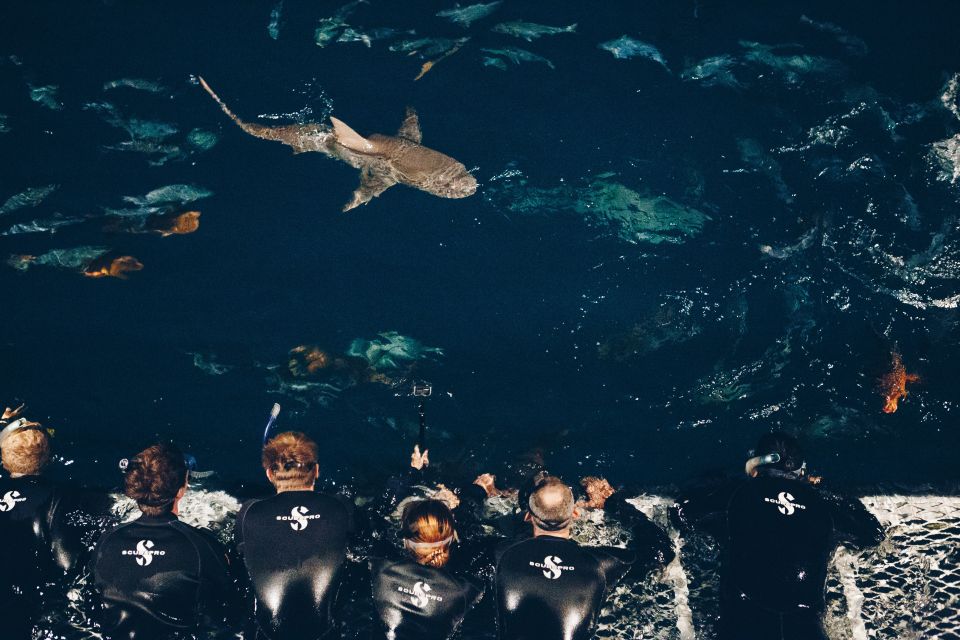 Cairns: Great Barrier Reef Overnight Snorkeling Boat Trip - Pricing Information