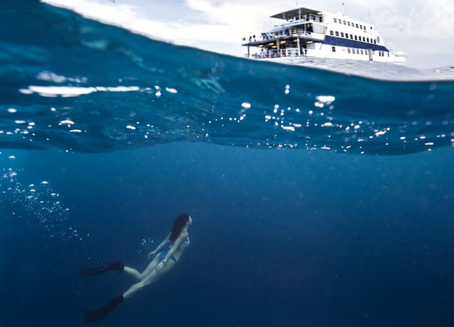 Cairns: Great Barrier Reef Overnight Snorkeling Boat Trip - Safety and Health Standards