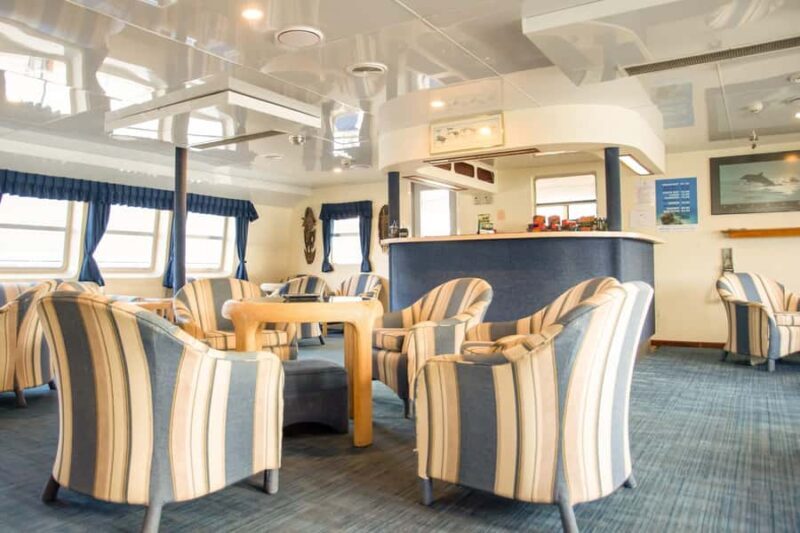 Cairns: Great Barrier Reef Overnight Snorkelling Boat Trip - A Deep Dive into the Experience