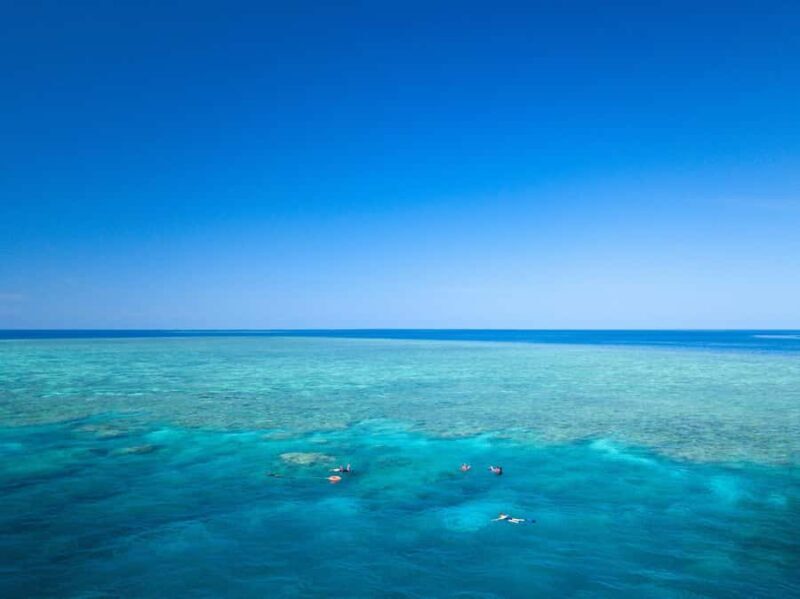 Cairns: Great Barrier Reef Overnight Snorkelling Boat Trip - The Sum Up