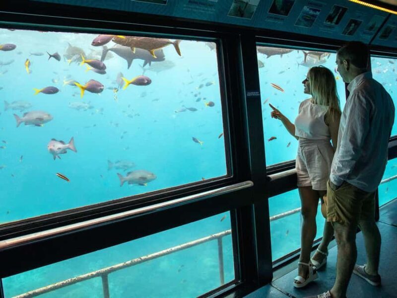 Cairns: Great Barrier Reef Pontoon - Indulgence Package - An In-Depth Look at the Experience