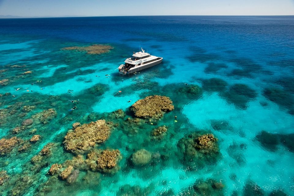 Cairns: Great Barrier Reef Scuba Diving Tour - Restrictions and Booking Information
