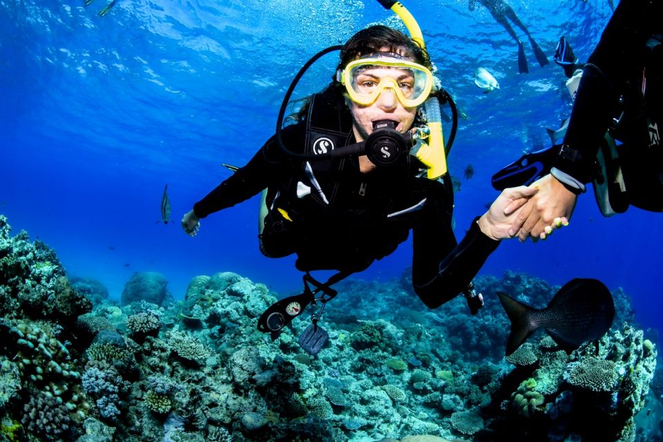 Cairns: Great Barrier Reef Scuba Diving Tour - Customer Reviews and Ratings