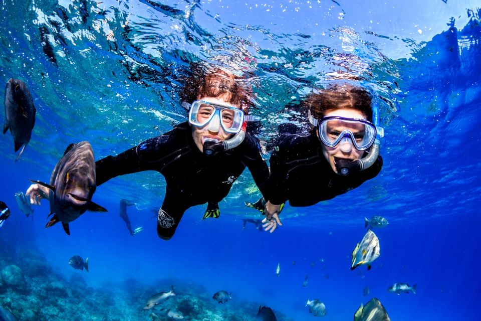 Cairns: Great Barrier Reef Scuba Diving Tour - Frequently Asked Questions