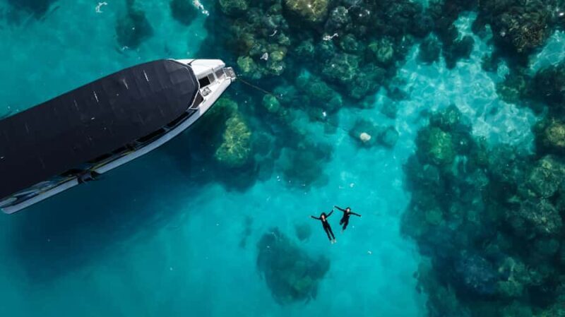 Cairns: Great Barrier Reef Small Group Snorkelling Tour - The Equipment and Comfort