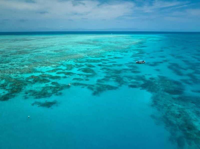 Cairns: Great Barrier Reef Snorkel and Scenic Flight - Key Points