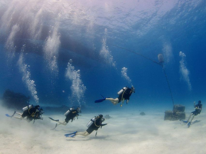 Cairns Great Barrier Reef Snorkel Special - Customer Reviews