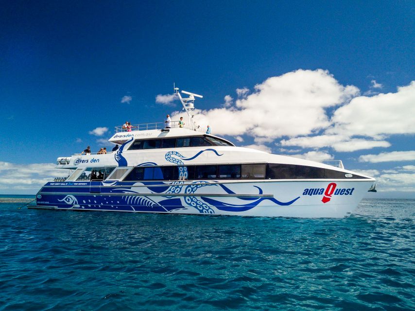 Cairns: Great Barrier Reef Snorkeling or Dive Tour and Lunch - Key Points