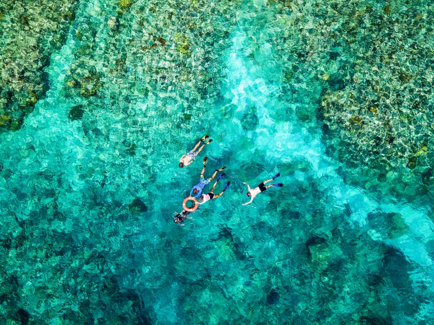 Cairns: Great Barrier Reef Snorkeling or Dive Tour and Lunch - Tour Description